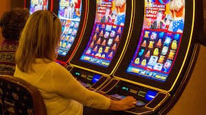 sporte bet